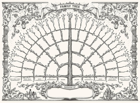 Palace Learning Family Tree Chart, 1 Pack - 6 Generation Genealogy Poster - Blank Fillable Ancestry Chart 18" x 24"