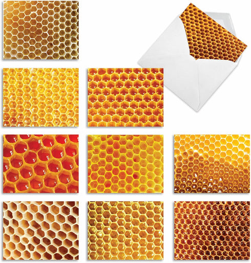 The Best Card Company 10 Assorted Blank Notes Box Set 4 x 5.12 Inch with Envelopes (10 Designs, 1 Each) - Boxed