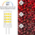 G4 Bulb 4W 6000K 12V T3 20-35W Non-dimmable 6 Pack LED Daylight White AC/DC JC Type Bi-Pin Halogen Equivalent