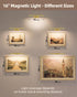 4800mAh 16in Dimmable 3 EZVALO Picture Light for Wall, Rechargeable Wireless Remote, Magnetic LED Art Display Light