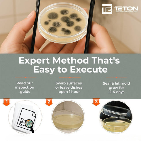 Teton Environmental, Inc. 10 Mold Test Kit Test Different Areas in Home, Swab Sample and Air Sample, Easy-to-Use Guide