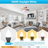 Bulbs 60 5W Bulbs, 500LM, 5000K, E12 Bulbs, B11 Bulb 85, Non-dimmable, 3 Pack Sailstar Ceiling Fan Light Watt