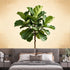 Agglomerix Custom Size Wall Murals Botanical Green Fiddle Leaf Fig Tree Minimalist Natural Plant Art SelfAdhesive Wall