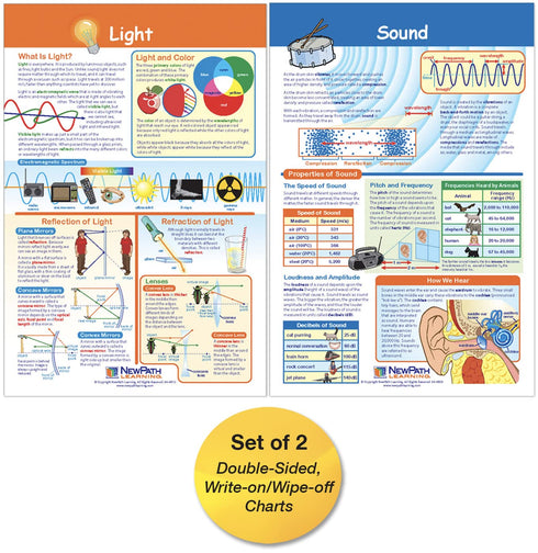 NewPath Learning Light & Sound Bulletin Board Charts, Set of 2, Laminated, Double-Sided, 12" x 18"