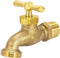 Eastman Irrigation Hose Bibb, 1/2 Inch MIP x 1/2 Inch MHT Outdoor Spigot