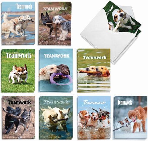 The Best Card Company 20 Boxed Dog Cards with Envelopes, Blank Assortment (4 x 5.12 Inch), 10 Designs, 2 Each.