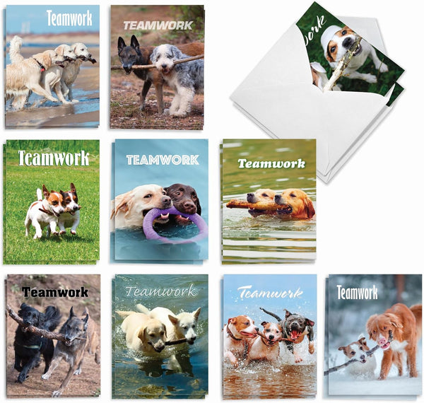 The Best Card Company 20 Boxed Dog Cards with Envelopes, Blank Assortment (4 x 5.12 Inch), 10 Designs, 2 Each.