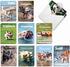 The Best Card Company 20 Boxed Dog Cards with Envelopes, Blank Assortment (4 x 5.12 Inch), 10 Designs, 2 Each.