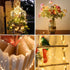 500 42Ft Dailyart Fairy Lights Plug in, Led with Remote Small Warm String Lights with Timer Long Twinkle Waterproof