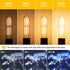 Dimmable E26 T10 Bulb Bulbs 6W(60W Bulb Bulbs Light,Chandelier,Hutch,2700K 600LM,6 Pack LED Tube Light