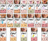 Ireer Pastel Vowels Sound Wall Classroom Neutral Phonics Kit, Science of Reading