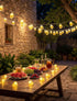 Xingzd 8.5Ft 10 3D Bulbs, Summer Beer Mug Outdoor String Lights, Hawaiian Decor Lights, LED Tropical Beach Camping