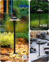 5W 2200K/2700K/3000K/4000K/5000K 20 Inch 12V Pack 1 Pathway Lights Low Voltage, Black, LED Wired Low Voltage Landscape