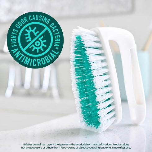 6 Count Scotch-Brite All Purpose Brush, For Tile Floors and Walls, Shower Doors, Tubs, Bathroom Fixtures, and More