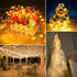 2 Pack 66ft 200LED 8 Solar String Lights Outdoor Waterproof Total Modes Twinkle Lights Solar Fairy Lights for Patio