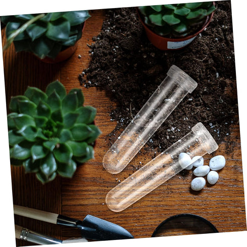 50pcs Transparent Flower Water Tubes for Fresh Flower Storage Premium Plastic Nutrient Vials for Floral Arrangements