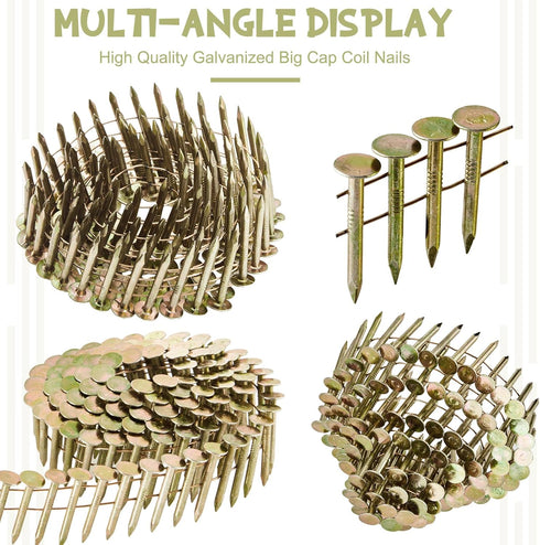 600 Count Sadnyy Coil Roofing Nails 3/4-1-1/4 in, Stainless Steel Siding Nails with Smooth Ring Shank (1-1/4 -inch x