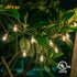 20ft 20-Light Dimmable Bulbs (2 1ft Afirst Edison String Lights, Waterproof Outdoor Patio Lights with Real Glass Extra