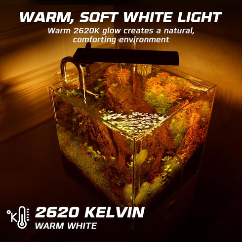 60W Bulbs (6-Pack) 60 T10 Bulb, E26 120V, 2700K, Dimmable OHLECTRIC Incandescent Light Watt Tubular Clear Glass, Medium