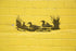 Reusable Ducks & Lake Wilderness Stencil 11" x 8.5" - Custom Outdoor Scene Template