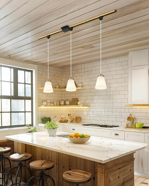 1-Light 5HZG97TP H-Type Track Lighting Pendant, HWH Track Pendant Light Fixture Brushed Gold Finish with Frosted Milk