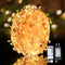 Dailyart Fairy Lights Plug in, 500 Led with Remote 42Ft Small Warm