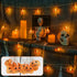 FFZZKJ 10FT 20LED 8 Halloween Lights Pumkin Lights with Timer Modes Battery Operated Indoor Outdoor for Halloween