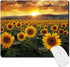 Mouse Pad - Non-Slip Rubber Base Mouse Mat, Waterproof Gaming Mouse Pad for Wireless Mouse, Computers, Laptop, Home