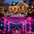 2 Pack 33 100 Pooqla Green String Lights Battery Powered, Total FT LED Christmas String Lights for Indoor Outdoor