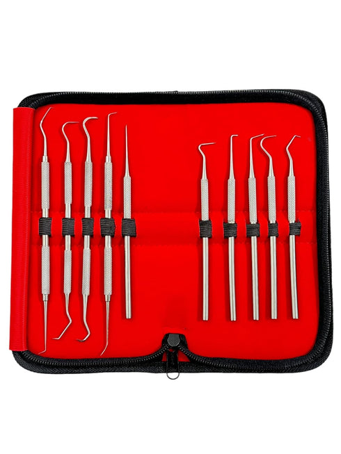 Avon Surgical Set 10 Precision Probe of Pieces Dental Hygienist Oral Care Picks Single and Double-Ended with Varying