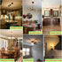 G16.5 Light Bulb LED 4W E26 Dimmable Equivalent E26 40 Watt Warm White 2700K 400lm CRI85+ Clear Glass (Pack of 6)
