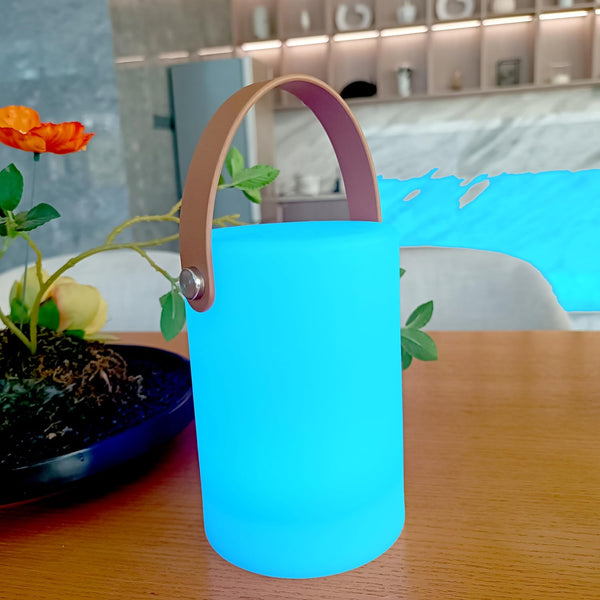AA Battery Operated Portable Lantern - Color Changing Table Lamp, Mood Night