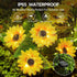 6 Pack 36 IP65 Solar Sunflower Lights Outdoor Waterproof - with Bright Solar Sunflower Lights, Waterproof Light