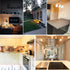 GY6.35 Bulbs, 12V 35W Bulb 2 T4 G6.35 Bulb, Dimmable, 2700K 2 Bulb 2Pcs Light Crystal Clear Halogen Pin, JC Bi-Pin Base