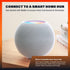 A19 Bulb, 800LM (60W Bulb (2pk) Caveman Matter & WiFi Smart LED Light RGBW Color Changing, Tunable Warm & Cool White