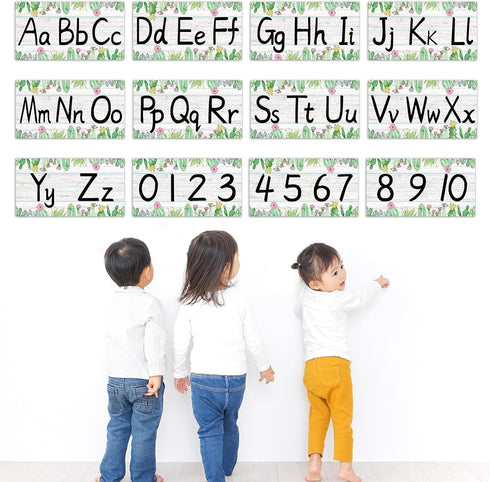gisgfim 12 Pieces Cactus Alphabet Bulletin Board Strips Set, ABC Alphabet Banner & Number Border for Classroom,