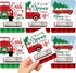 Big Dot of Happiness Merry Little Christmas Tree - DIY Assorted Red