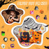 Halloween Erasers Bulk Supplies, Cute Ghost Pumpkin Skull Erasers, Multi Color Pencil Rubber Erasers for Kids