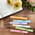 FINPAC Bible Highlighters Set
