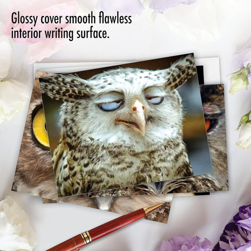 The Best Card Company 10 Bird Note Cards Blank (4 x 5.12 Inch) with Envelopes, Boxed Set
