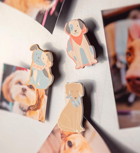 Karma Gifts Bugs Shaped Magnetic Chip Clips for Fun Organization