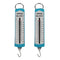 P11104 Pack of 2 - Hanging Spring Scale (0-1000g, 10N)