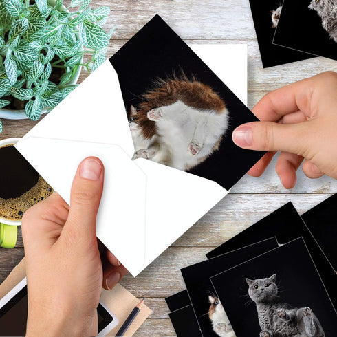 The Best Card Company - 20 Adorable Cat Greeting Cards (4 x 5.12 Inch) - Blank Assortment (10 Designs, 2 Each)