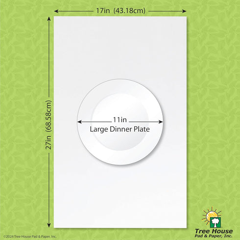 Tree House Pad & Paper | 27” x 17” Packing Paper Sheets | 180 Newsprint Sheets for Moving, Packing, Shipping
