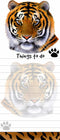 Tiger Magnetic List Pads, Uniquely Shaped Sticky Notepad, 8.5 by 3.5 Inches