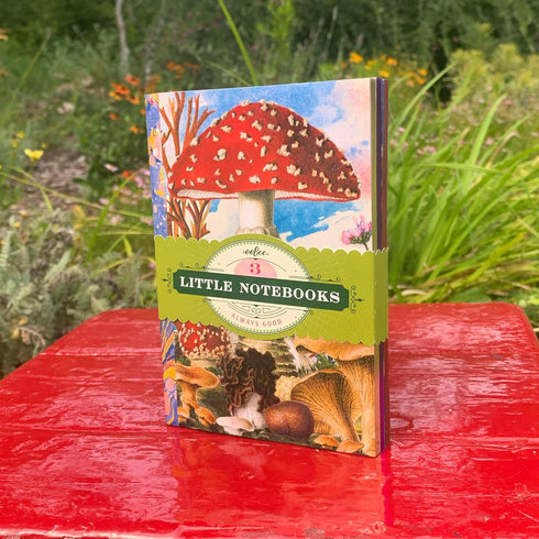 eeBoo Piece & Love: Mushroom Little Books, Set of 3 Notebooks, 5.75 x 4, Nature Themed Journals