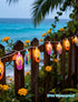 8.5Ft Summer 10L Summer, Beach Themed Lights, LED Flips Flops String Lights Plug in for Indoor and Outdoor Holiday Luau