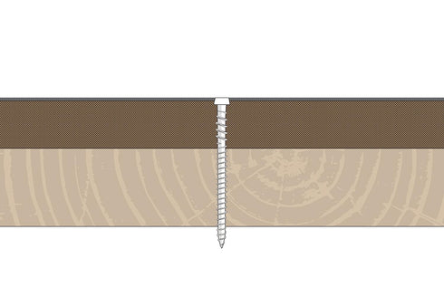 Composite Decking Wood Screw, 10x2-1/2", Star Drive Torx 20, Type 17 Slot Point, 1 Free Bit Included