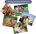 ZBEIVAN Photo Paper, 8x10 inch High Glossy Paper, 100 Sheets, 200 GSM for Printer