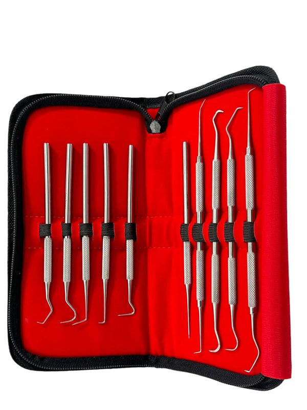 Avon Surgical Precision Probe Set of 10 Pieces Dental Hygienist Oral Care Picks Single